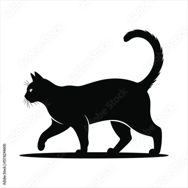 Obraz Black cat silhouette walking with tail curled high and pointed ears animal
