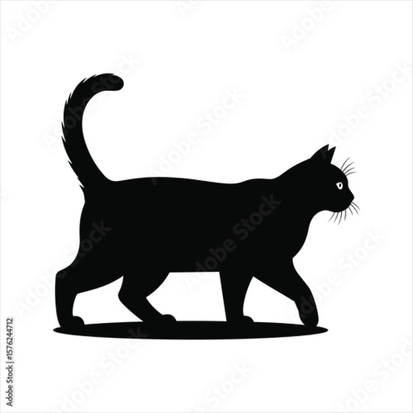 Obraz Black cat silhouette walking with tail up on white background animal