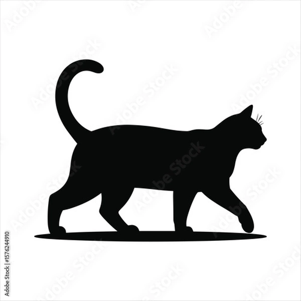 Obraz Black cat silhouette walking with tail curled high on white background feline animal