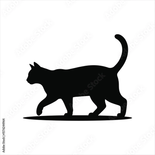 Obraz Black cat silhouette walking with tail up on white background feline animal