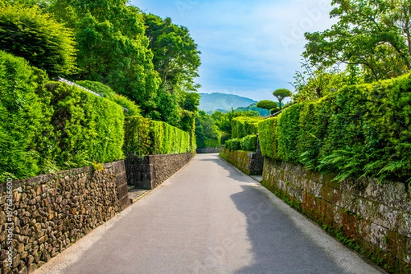 Obraz 鹿児島県　知覧麓の町並み