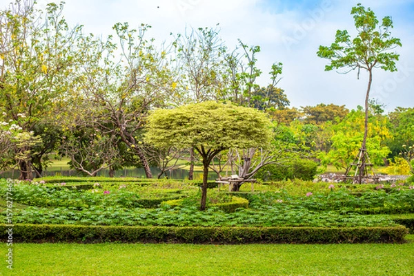 Fototapeta A neatly maintained garden with neatly trimmed hedges and a tree creates a peaceful landscape in the park