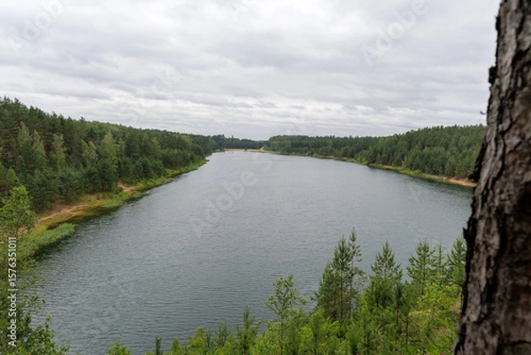 Fototapeta : Small Pine Tree on Sandy Lakeside Mound