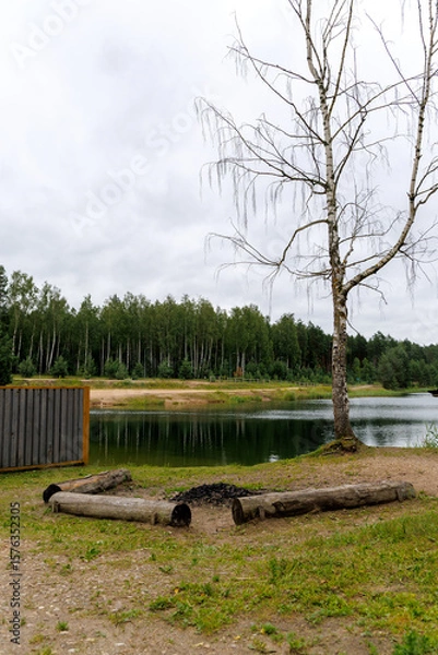 Fototapeta Lakeside Campfire Spot with Bare Tree