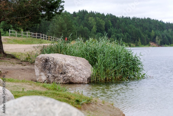Fototapeta Lakeside Reeds and Boulders with Forest View