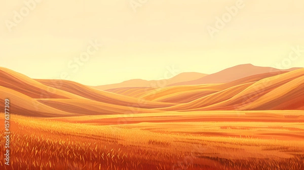Fototapeta wheat field at sunset, golden light, minimal summer landscape