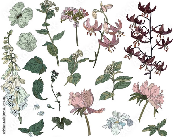 Obraz Set of flowers and leaves on a transparent background in vintage style