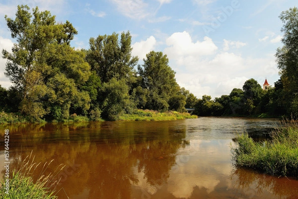 Fototapeta Muddy Brown River View from the Banks After Heavy Rainfall in Czechia