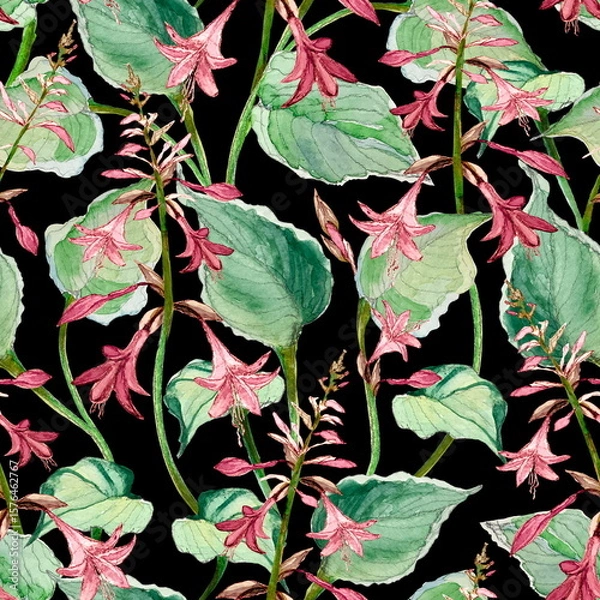 Fototapeta Seamless watercolor pattern with hosta leaves and red flowers on black background.