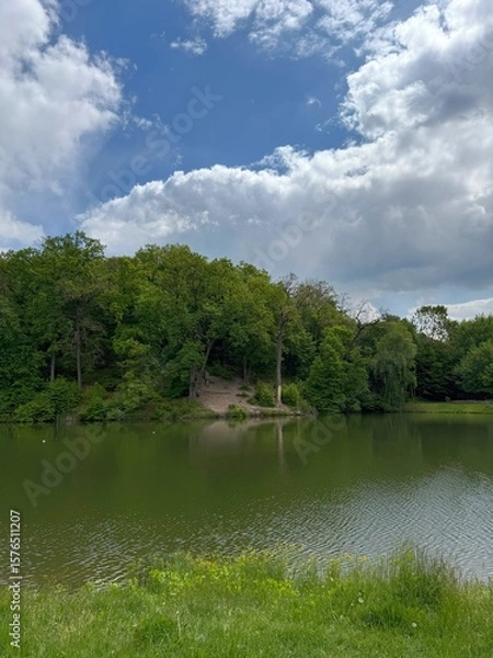 Fototapeta Idyllic summer nature green forest and river.