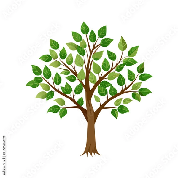 Obraz A vibrant green tree with many leaves isolated on white background