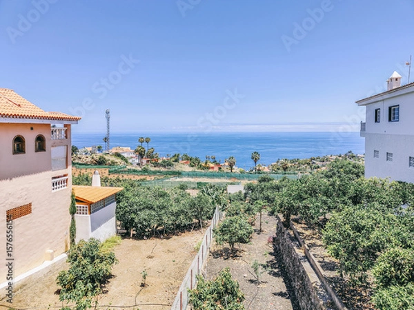 Fototapeta A view of a beach with a house in the background