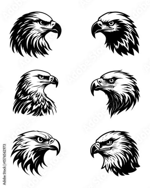 Fototapeta Eagle Face Icon Set silhouette, Vector Design