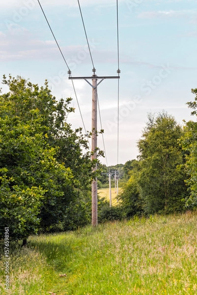 Obraz Wooden Utility Pole with Electricity Power Lines in Sunlit Woodland Corridor