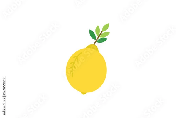 Obraz Etrog Fruit With Lulav Branch Flat Vector On White Background