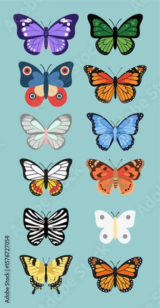 Fototapeta Flat vector illustration of a diverse butterfly collection featuring vibrant colors and patterns, inspired by species like the Paradise Birdwing. Ideal for nature, decor, and educational designs.
