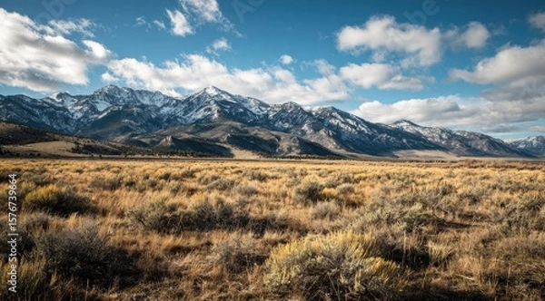 Obraz Expansive vista of a high-desert plain, golden grasses stretching to snow-capped mountains under a vibrant blue sky with scattered clouds