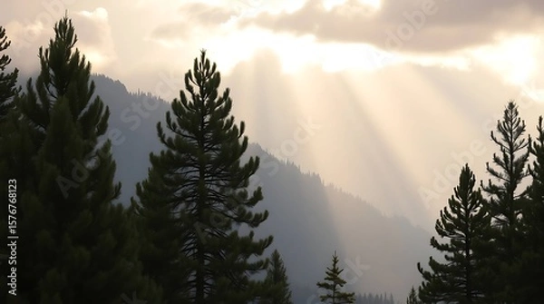 Fototapeta Sun rays through trees in mountains