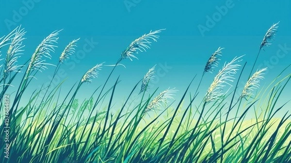 Fototapeta Gentle meadow grasses blowing in a serene summer sky.