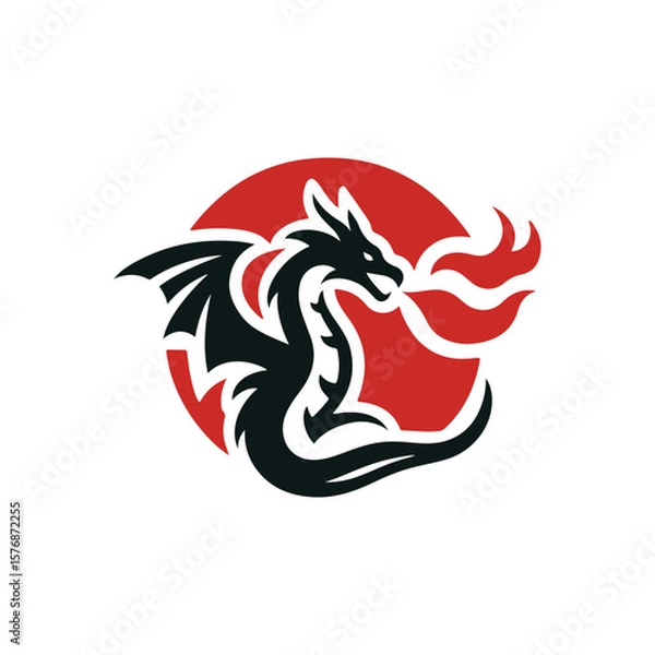 Obraz Dragon flaming logo