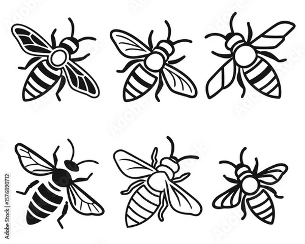 Obraz Collection of six decorative black and white honeybee insect illustrations isolated on white background.