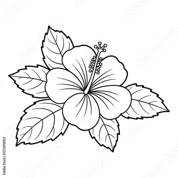 Obraz Hibiscus flower with leaves bloom petal