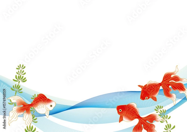 Obraz 赤白の金魚が泳いでいる夏イメージのウェーブ背景素材