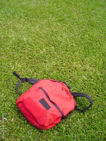 Fototapeta single red bag against grass field