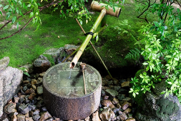 Obraz 龍安寺 蹲（つくばい）