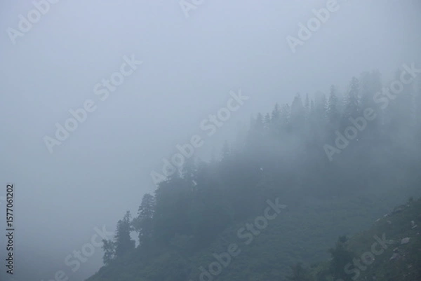 Obraz fog on the mountain