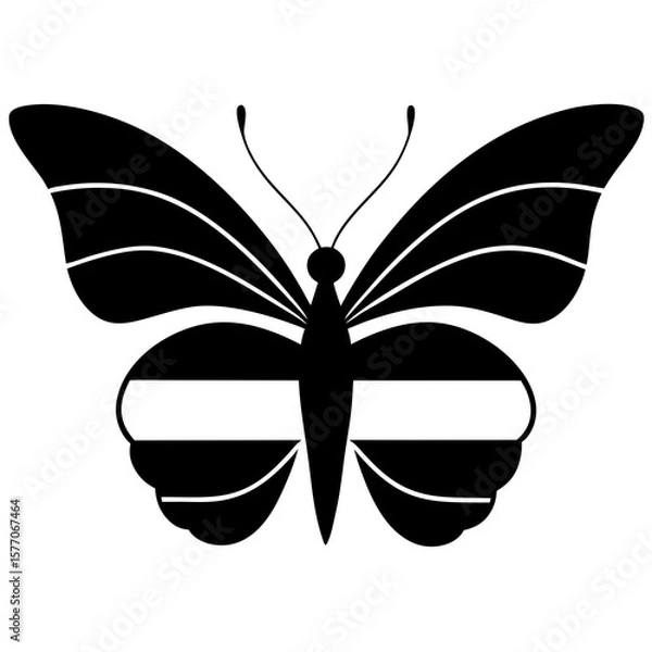 Fototapeta butterfly vector illustration