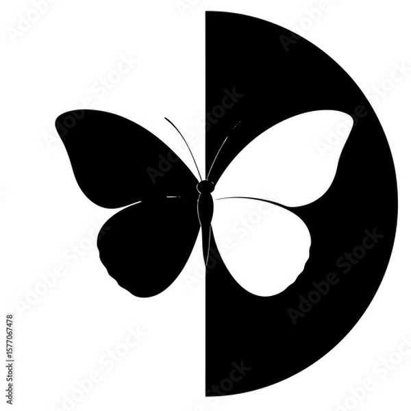 Fototapeta butterfly vector illustration