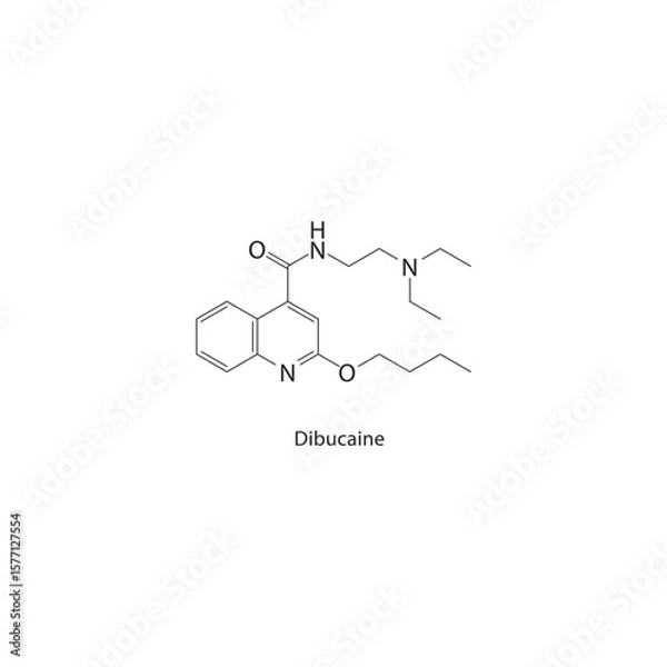 Obraz Dibucaine skeletal structure. Local anesthetic compound schematic illustration. Simple diagram, chemical formula.