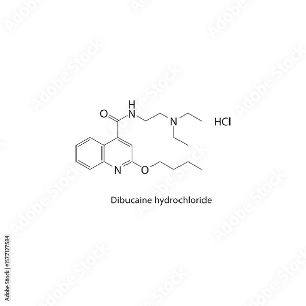 Obraz Dibucaine hydrochloride skeletal structure. Local anesthetic salt compound schematic illustration. Simple diagram, chemical formula.