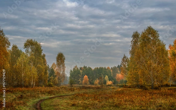 Fototapeta Heavy clouds hung over the autumn forest and meadow.