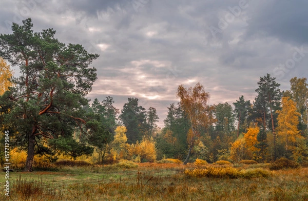Fototapeta Heavy clouds hung over the autumn forest and meadow.
