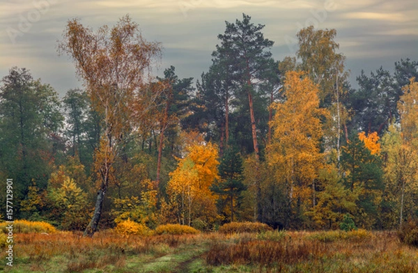 Fototapeta Heavy clouds hung over the autumn forest and meadow.