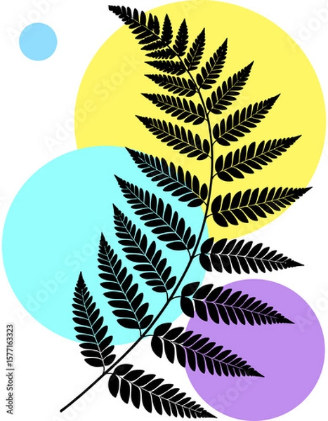 Obraz fern leaf on black background