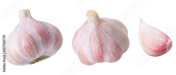 Fototapeta Collection garlic on isolated white background. Garlic cloves and whole.