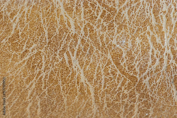 Obraz Abstract background, brown leather texture, copy space.