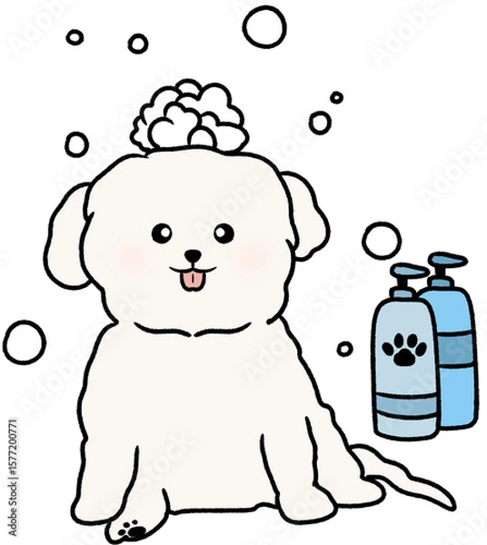 Obraz 샤워하는 강아지