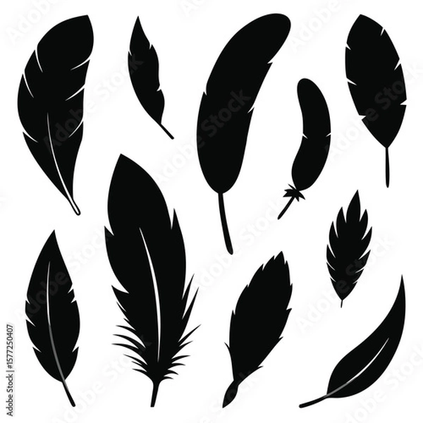 Fototapeta A vector set of stylized feathers and leaves for nature illustration and decoration
