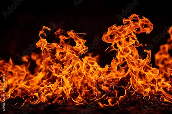 Fototapeta Scene of a forest engulfed in flames