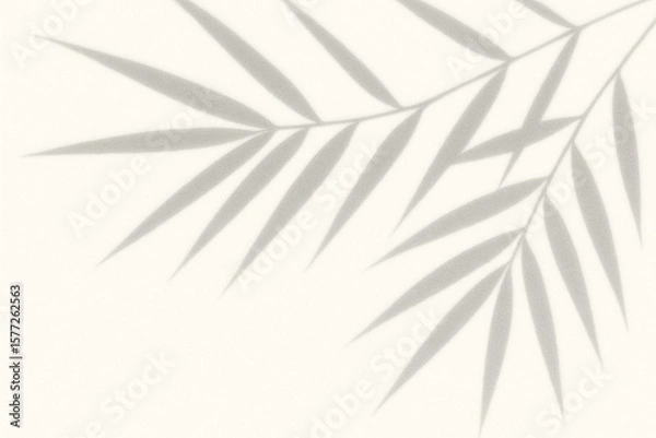 Fototapeta Elegant Palm Leaf Shadow Overlay Effect on Light Background - Perfect for Minimalist Design Projects