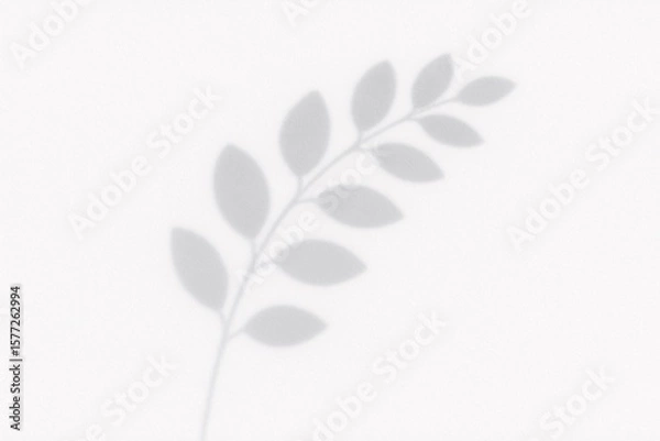Fototapeta Minimalist Botanical Shadow Overlay Effect on Light Background for Elegant Design