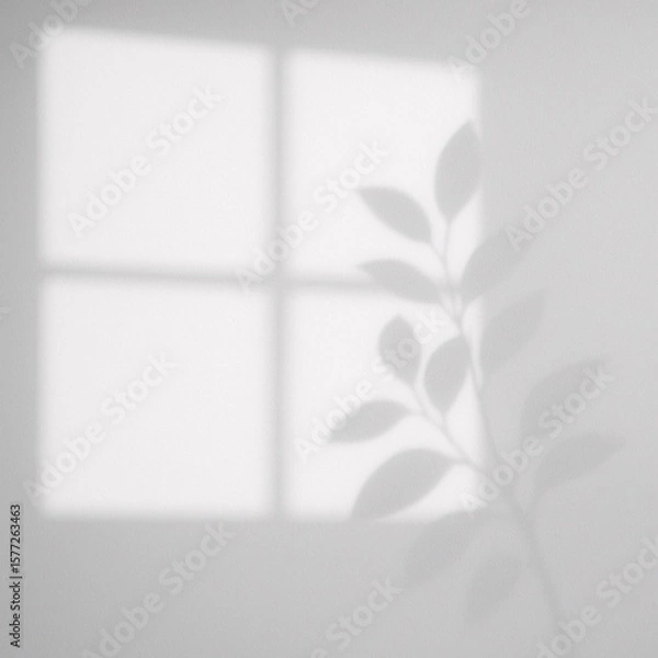 Fototapeta Minimalist Shadow Overlay of Window and Leaves on Wall for Interior Design and Aesthetic Backgrounds