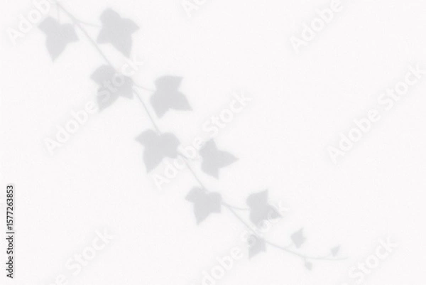 Fototapeta Soft Leaf Shadow Overlay Effect on White Textured Background