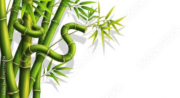 Obraz green bamboo tree