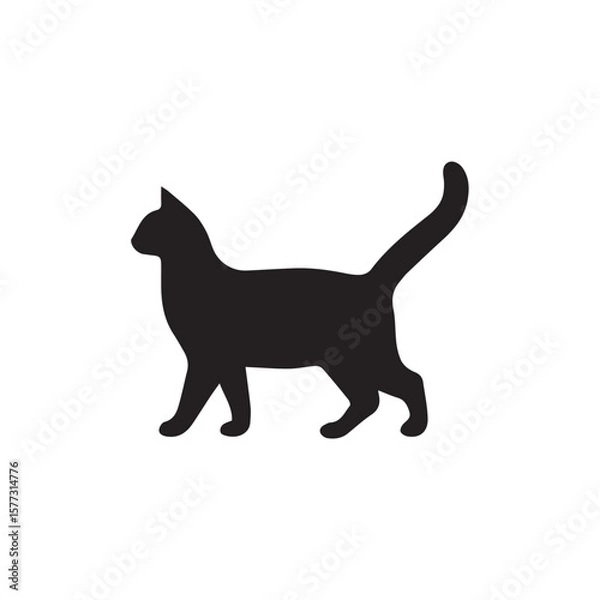 Fototapeta cat on white background