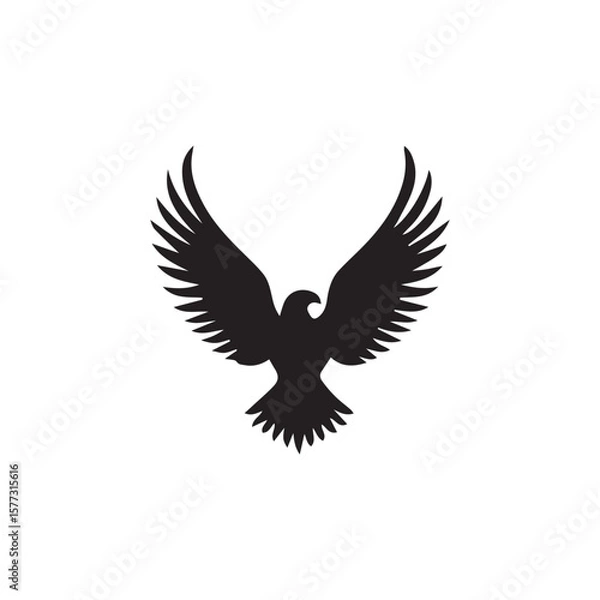Fototapeta eagle vector illustration